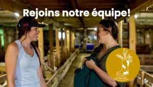 rejoins notre équipe germoir incubateur agricole bsl coordination