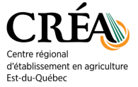 Création sans titre (10)